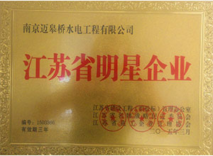 江苏省明星企业